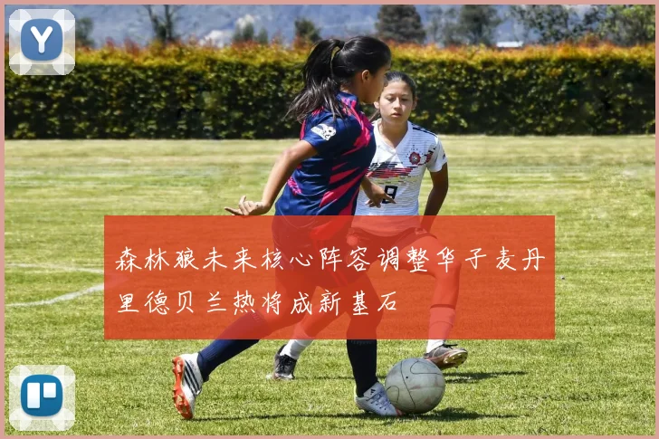 森林狼未来核心阵容调整华子麦丹里德贝兰热将成新基石